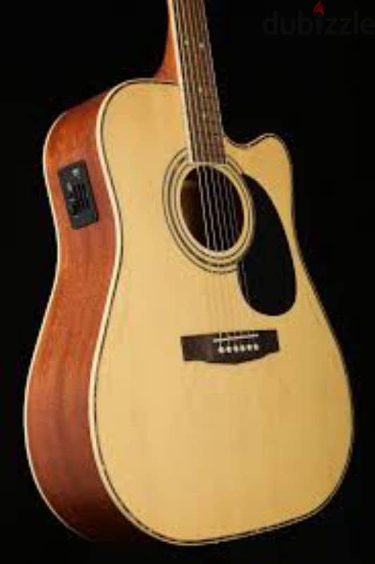 court acoustic guitar Ad 880 0