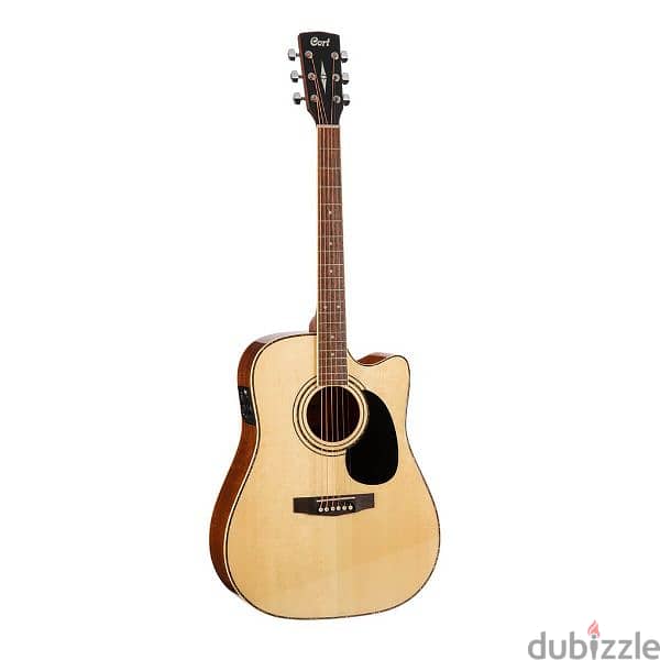 court acoustic guitar Ad 880 1