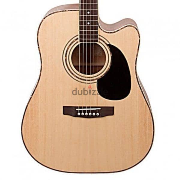 court acoustic guitar Ad 880 2