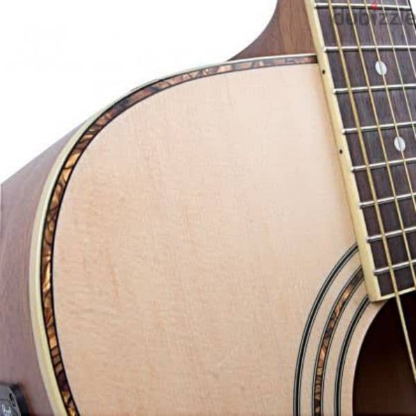 court acoustic guitar Ad 880 3