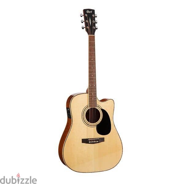 court acoustic guitar Ad 880 4