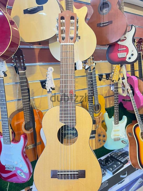 court acoustic guitar Ad 880 6