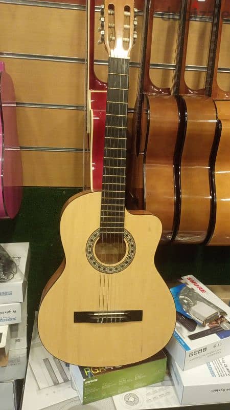 court acoustic guitar Ad 880 8