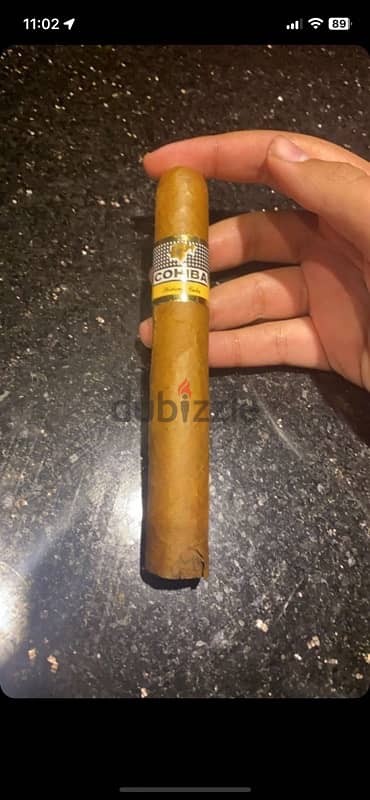 Cohiba siglo vi cigar from cuba 0