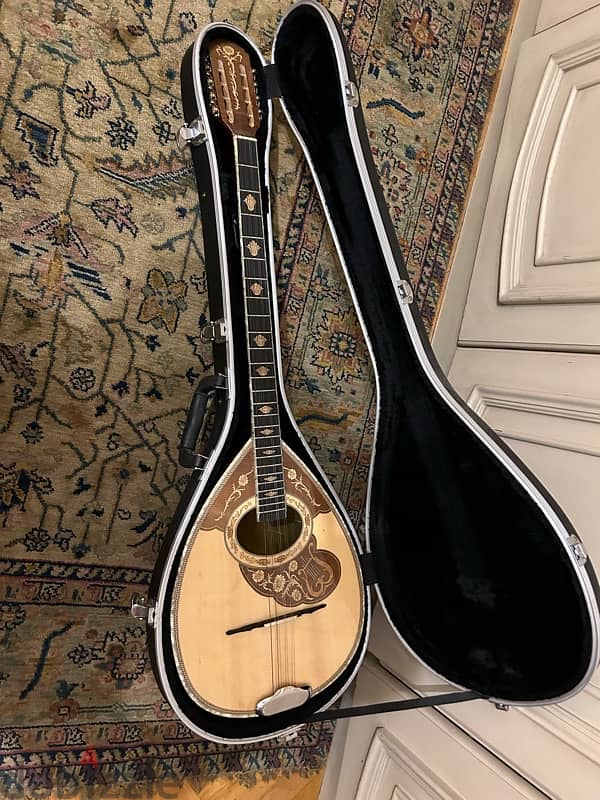 Greek Bouzouki with Hard ( fur interior ) Case 3