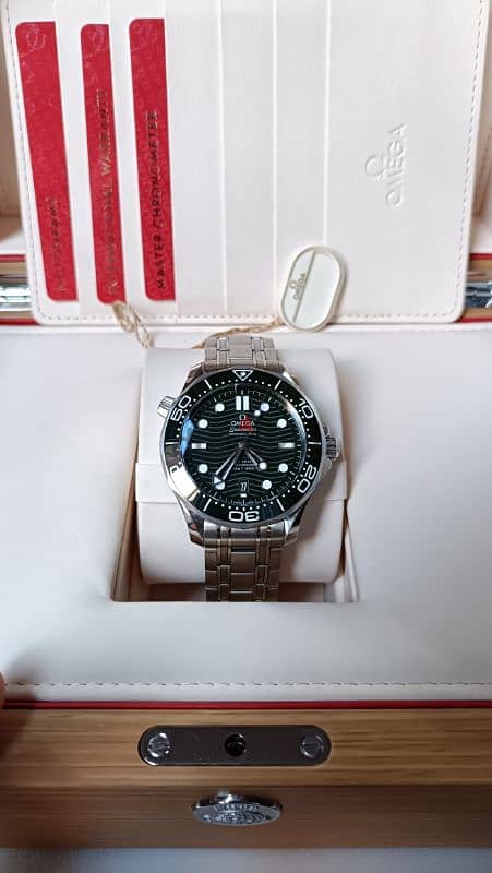 omega Seamaster diver 300 2