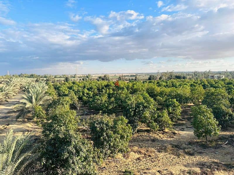 Land for sale in Cairo Alexandria Desert Road \ ارض للبيع في الصحراوي 0