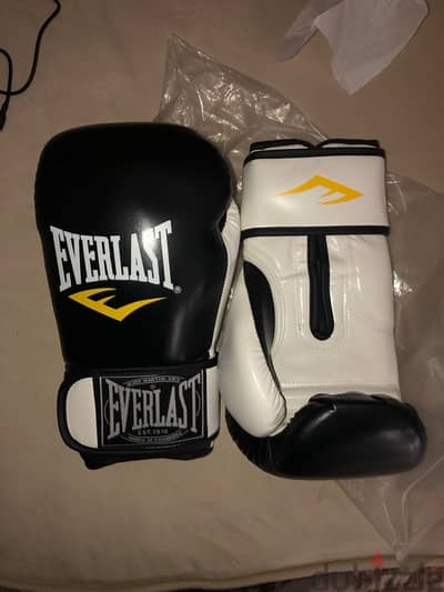 everlast