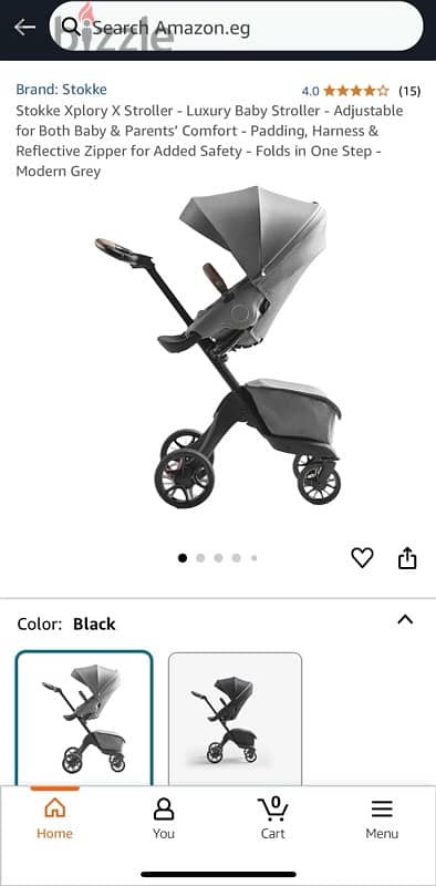 Stokke Stroller with Car Seat