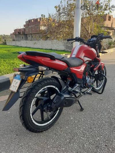 موتسيكل بينلي 150 vlr cc