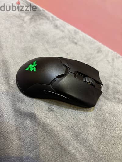 mouse