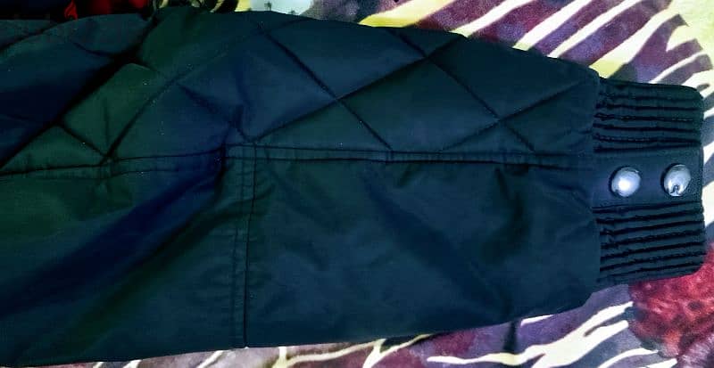 Jacket timo original Germany 3