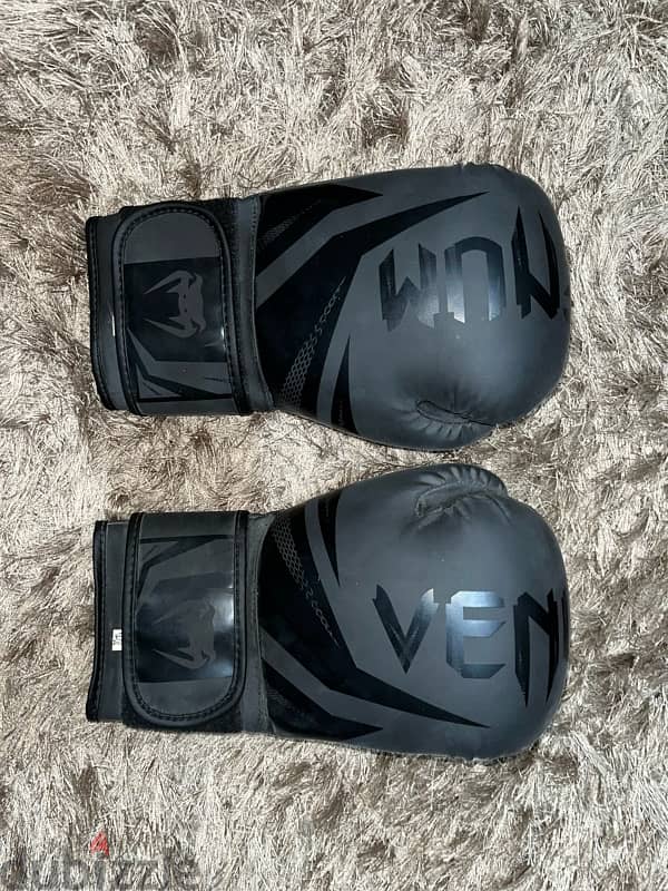 VENOM Boxing Gloves 1