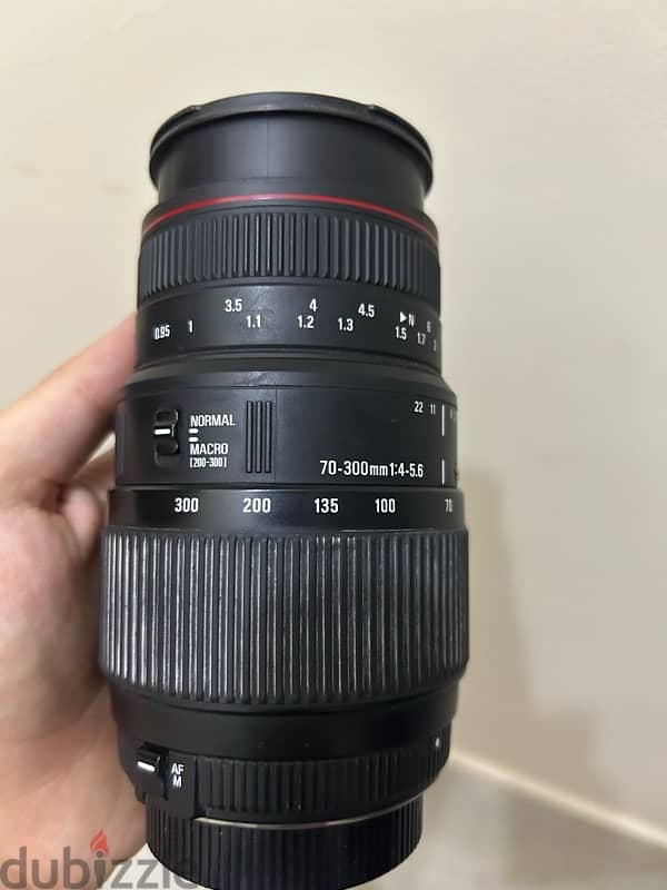 Sigma 70-300 Macro lens 3