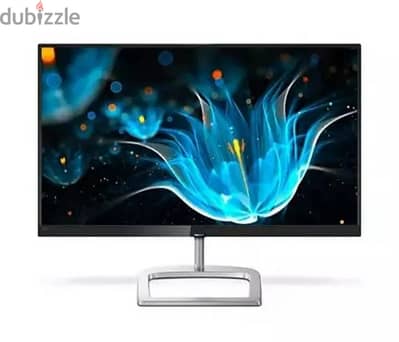 Philips 24 IPS monitor