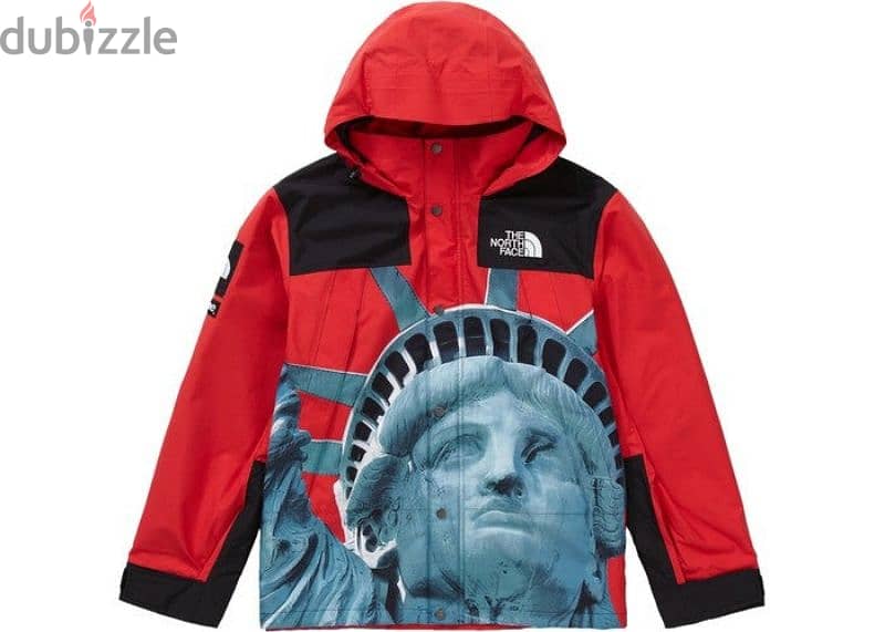 North Face X Supreme jacket 0