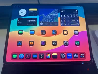 ipad pro M4 13 inch 256GB