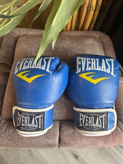 everlast blue boxing gloves