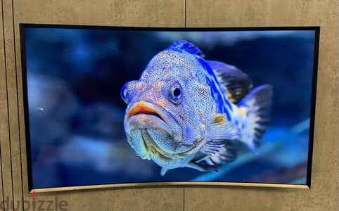 Samsung Curve 48 Smart TV