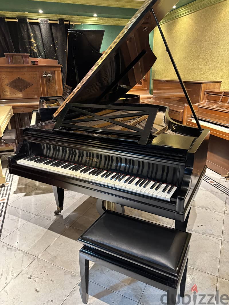 Grand piano for a professional 1