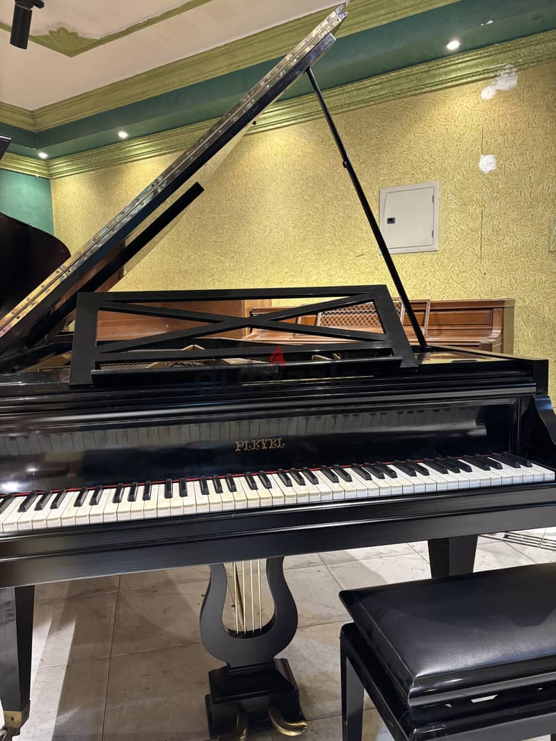 Grand piano for a professional 2