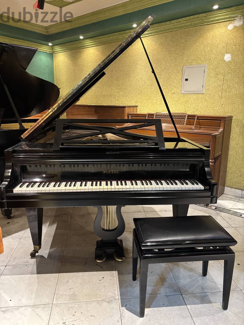 Grand piano for a professional 3