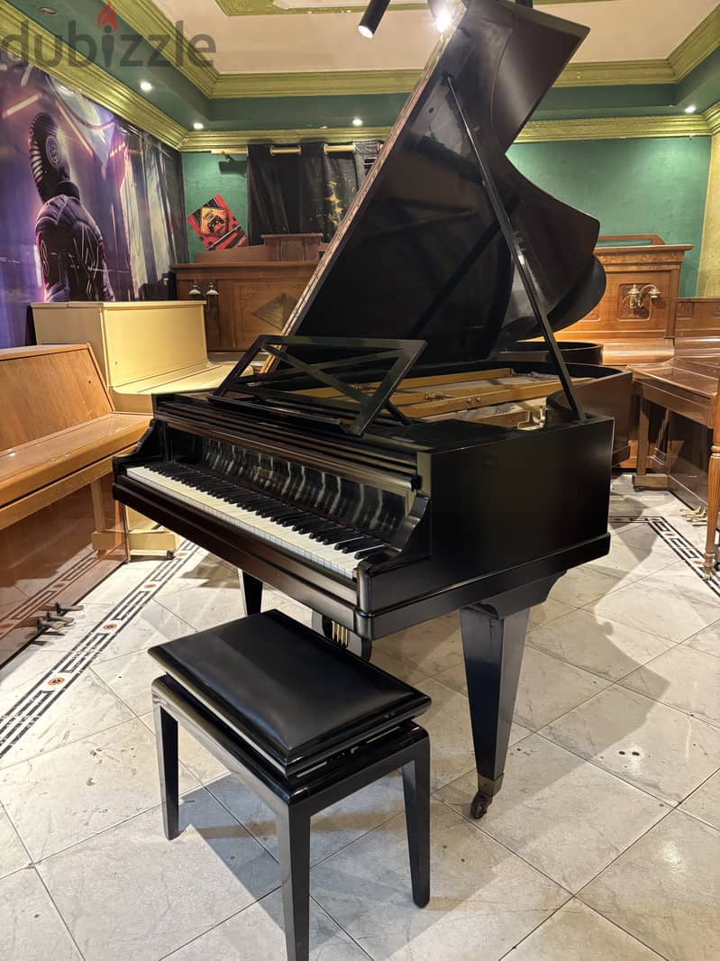 Grand piano for a professional 5