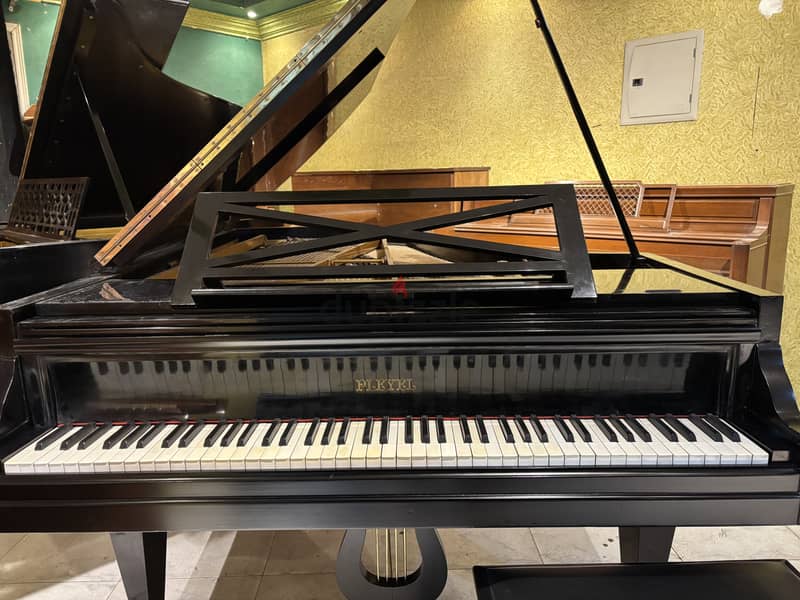 Grand piano for a professional 6