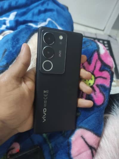 موبايل Vivo v29 5g الجهاز زيرو معاه كرتونة وشاحن 256 و 12 رام