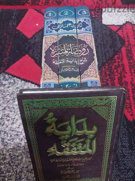 كتاب روضة المتنزة شرح بداية المتفقه 0