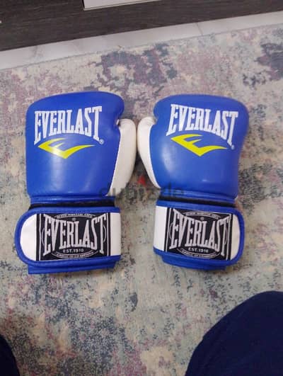 بوكس EverLast مقاس ١٠