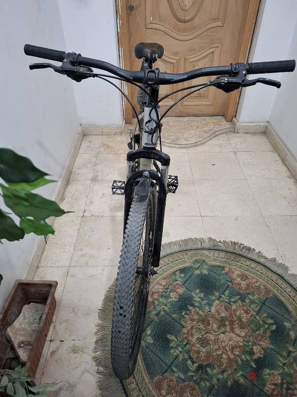 Hador adult bike 2