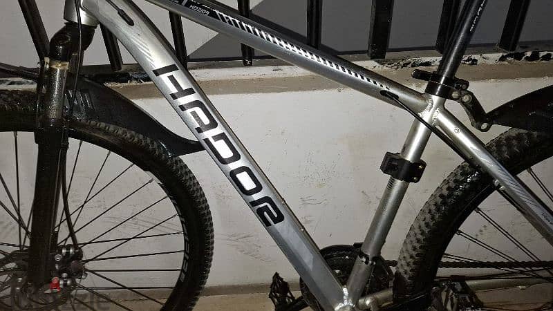 Hador adult bike 3