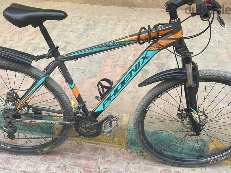 phoenix bicycle  عجله محترمه جدا جدا بمعني الكلمه 0