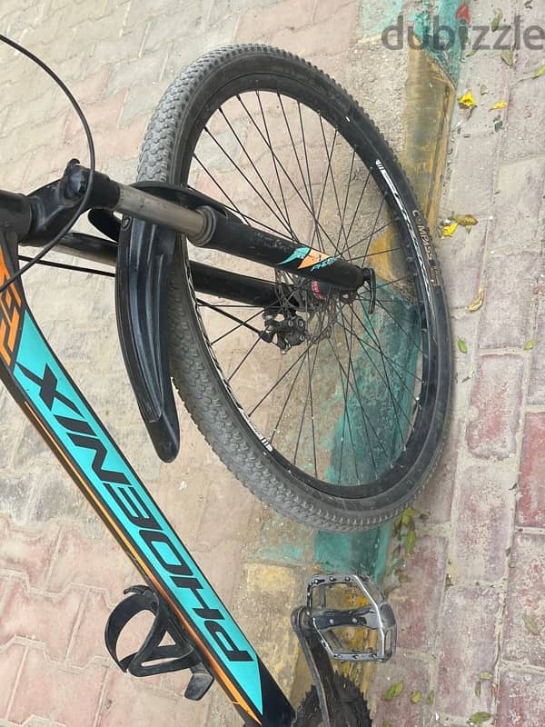 phoenix bicycle  عجله محترمه جدا جدا بمعني الكلمه 5