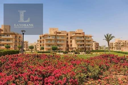 Apartment - Wessal Compound - 165m - Fully Finished - Ready to move - Prime Location