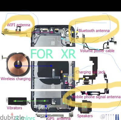 محتاج هاوسينج Xr بالفلاتات والكاميرا الخلفيه