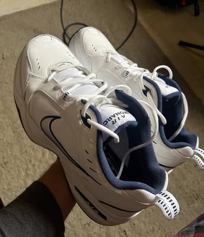 Nike Air Monarch IV (12)