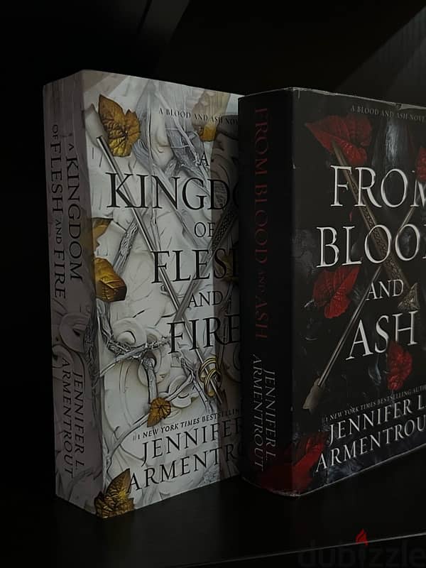 Book :from blood and ash 3