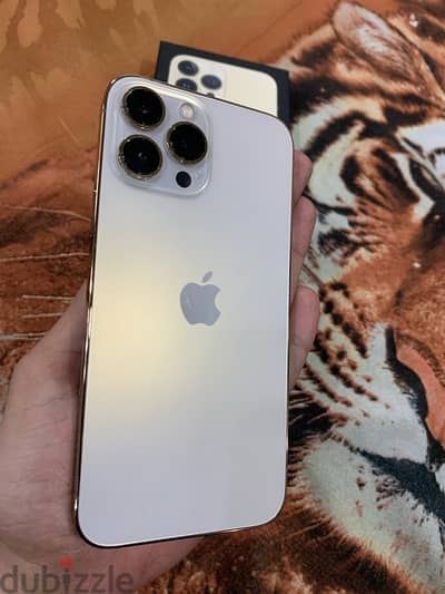 iphone 13 pro max 256 ايفون ١٣ برو ماكس ٢٥٦ جيجا