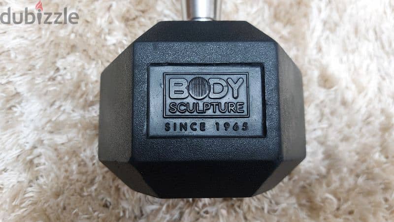 Hex dumbbell 10 Kg 1