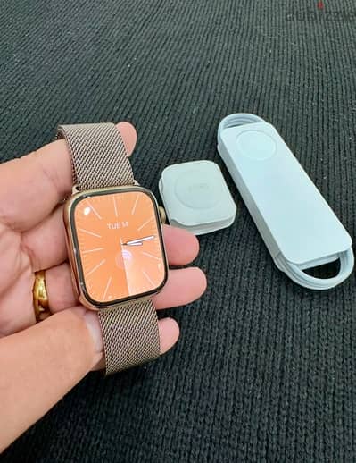 Apple Watch Series 8 (45mm) GOLD Stainless Steel Edition