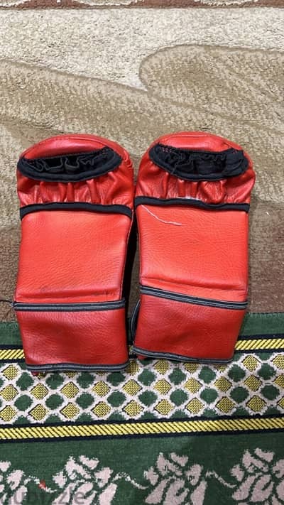 Karate gloves