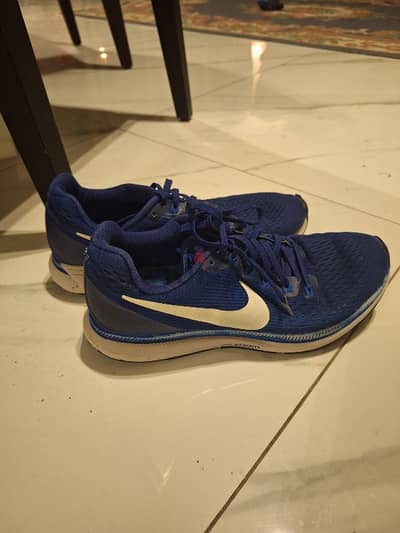 NIKE Shoes for Men (Size 43) - Authentic