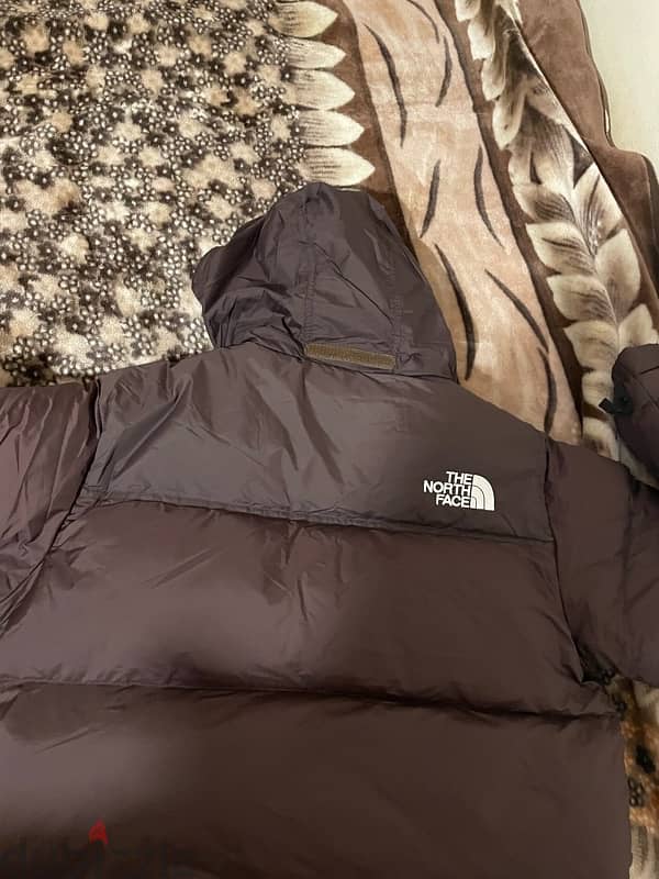 The North Face Jacket 1