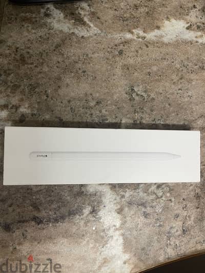 Apple Pencil (USB -C)