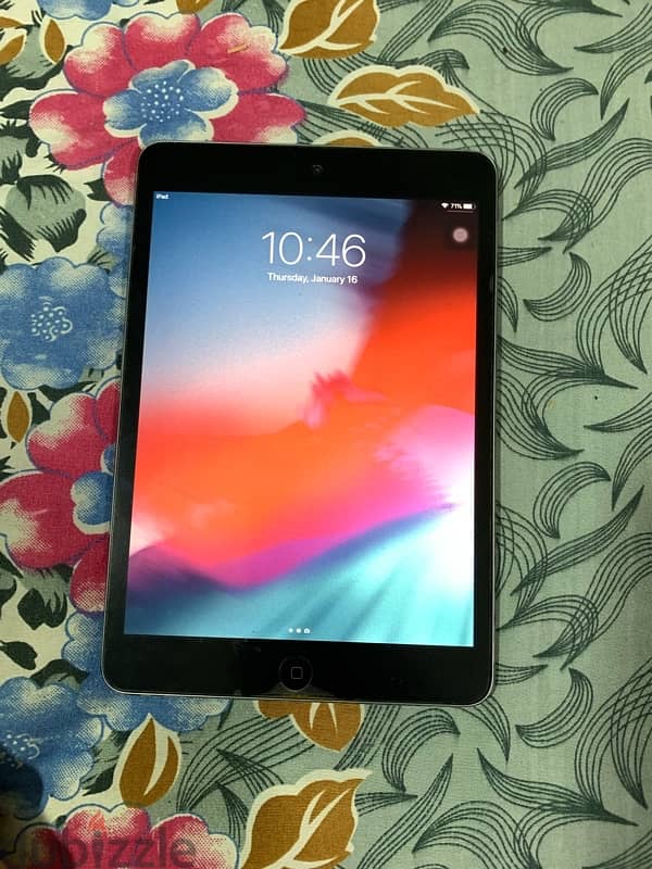 IPad mini 2 0