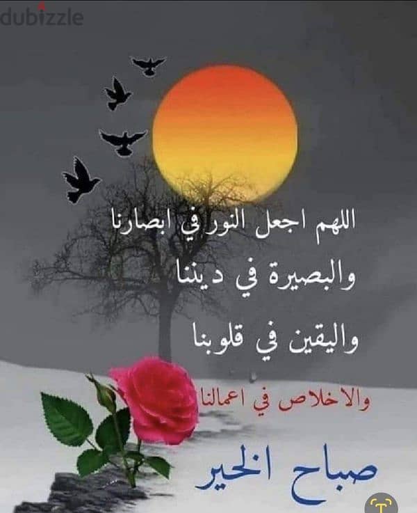 شاشة سامسونح 50بوصة محتاجة صيانه 0