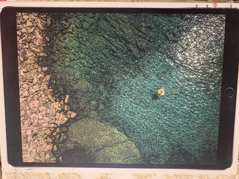 iPad Pro (10.5-inch) Wifi + Cellular 2