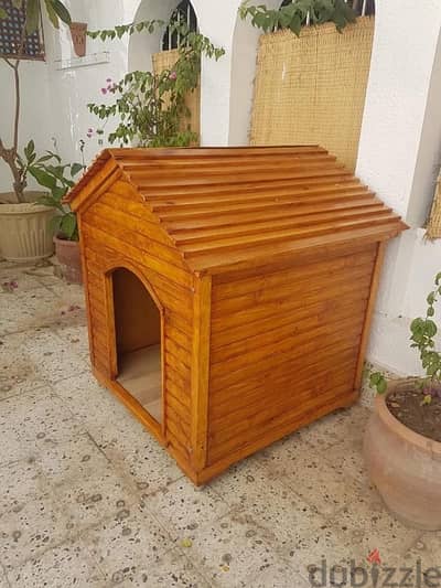 dog house